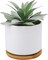 Mini Artificial Agave Succulent in Ceramic Pot with Bamboo Tray – Faux Small Potted Plant for Home Office Desk, Living Room, Shelf & Modern Decor (5.9")